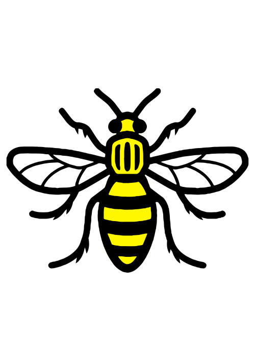 M60 Home Maintenance